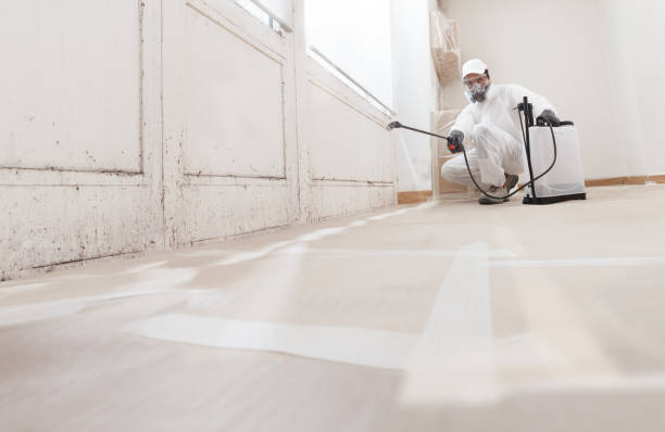 24/7 Emergency Mold Remediation experts in Rich Square, NC