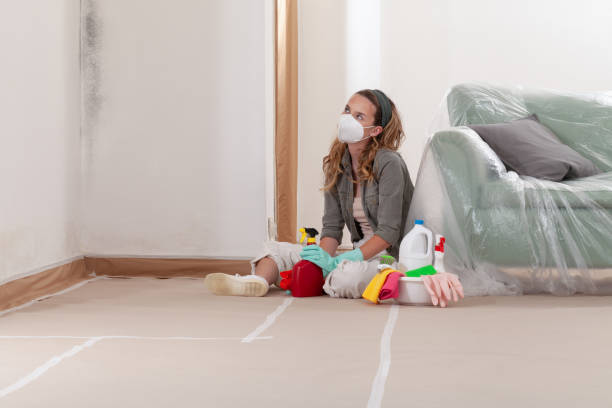 Reliable Mold Remediation contractor in Rich Square, NC by WQB Mold Removal